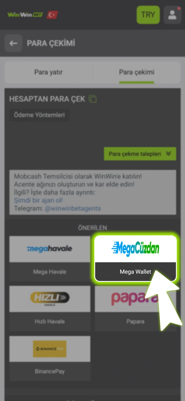 Kazançlarınızı çekmek için resmi WinWin tarafından sunulan bir yöntemi belirleyin.