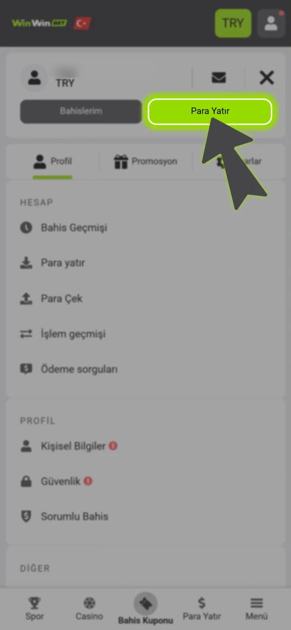 Menü içerisinden resmi WinWin kasa veya para yatırma bölümüne gidin.