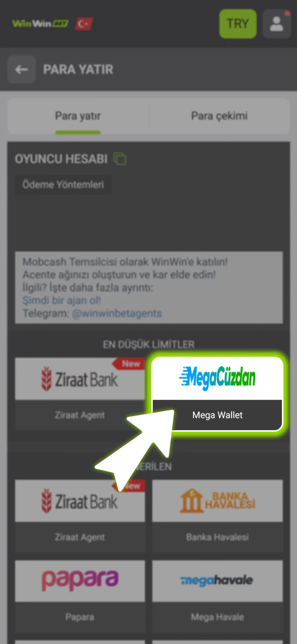 Sunulan seçenekler arasından size en uygun resmi WinWin yöntemini seçin.
