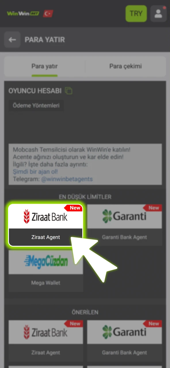 Kasa bölümüne giderek resmi WinWin hesabınıza ilk para yatırımınızı yapın.