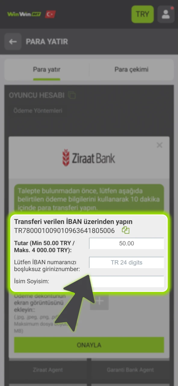 Ödeme bilgilerinizi eksiksiz girerek resmi WinWin finansal işlemlerini güvenle başlatın.