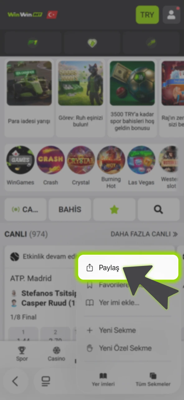 Tarayıcı menüsündeki paylaş simgesine dokunarak resmi WinWin seçeneklerini görüntüleyin.